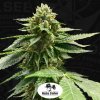 T.H.Seeds™ Cannabis Seeds Melon Vader, 5+1 Pack, feminizované
