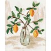 Diamondi Diamantové maľovanie - CITRÓNY VO VÁZE 4 (HALEY BUSH) Rámovanie: vypnuté plátno na rám, Rozmer: 40x50 cm