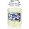 YANKEE CANDLE Classic veľká 623 g Midnight Jasmine