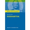 Siddhartha von Hermann Hesse (Maria-Felicitas Herforth,Hermann Hesse)(Kniha)
