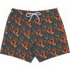 Santa Cruz Hands All Over Swimshorts Teal