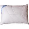 2G Detský vankúš Cirrus 70x50(500g)