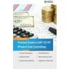 Practical Guide to SAP CO-PC (Product Cost Controlling) (Tanya Duncan)(Brožovaná)