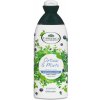 L´ANGELICA Officinalis Šampón na Mastné so Žihlavou a Myrtou 250 ml Zelená Lekáreň