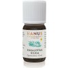 Hanus silica eukalyptová 10 ml