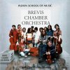 Brevis Chamber Orchestra (CD)