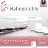 Hahnemühle Expression akvarelový blok 100 % bavlna 300 GR M2 lisovaný za sudena 20 listov 24 X 30 CM