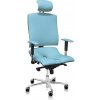 ASANA Seating Ergonomická kancelárska stolička Asana Architect Farba čalúnenia: Eko koža Svetlo Modrá 574 11 farieb