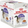 Royal Canin Sterilised Jelly 12 x 85 g