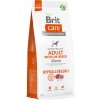 Brit Care Hypoallergenic Adult Medium Breed Lamb & Rice - 12 kg