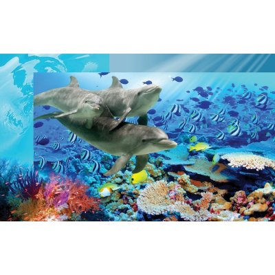 Donga Fototapeta vliesová: Podmorský svet - 184x254 cm