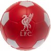 Penová loptička Liverpool FC Antistress