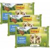 Friskies Junior kapsičky pre šteniatka kura v šťave 12x85 g