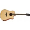 Tanglewood TP4CE