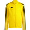 Chlapčenská tréningová mikina adidas, TIRO 23 LEAGUE žltá,čierna 164