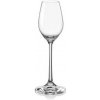 Crystalex CZ BOHEMIA VIOLA POHÁR NA LIKÉR 60 ML 6 KS