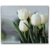 Vymalujsisam.sk Diamantové maľovanie - Biele tulipány Veľkosť: 40x50cm, Rám: Bez rámu, iba zrolované plátno, Diamanty: Hranaté