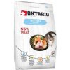Ontario Cat Kitten Salmon 2kg