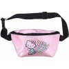Ľadvinka Hello Kitty