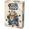 Rok pandy