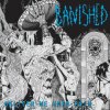 Banished - Deliver Me Unto Pain / Vinyl [LP]