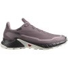 Salomon Alphacross 5 GTX W L47311000 moonscape/black/white