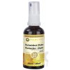 Pharma Activ Koloidné Zlato spray hustota 10ppm 1x100 ml