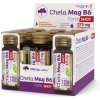 Chela-Mag B6 Forte Shot ampuly, višňová príchuť 20 x 25 ml 9x25 ml ampuliek s pomarančovou príchuťou
