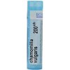 Chamomilla Vulgaris gra.1 x 4 g 200CH