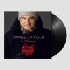 Taylor James - At Christmas / Vinyl [LP]