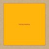 Swans: Leaving Meaning - 2CD