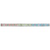 Paulmann Funkcia MaxLED RGB Stripe 1m 13,5W 24V strieborný plast