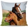 Matějovský Návlek Horse Love, Bavlna DELUXE DIGITAL, Digital návlek 40x40cm