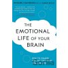 The Emotional Life of Your Brain - Richard Davidson