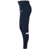 Pánske flísové tréningové nohavice Strike 21 M CW6336-451 - Nike L