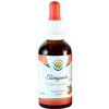 Salvia Paradise Ašvaganda Vitánie AF tinktura 50 ml