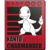 Ultra Pro Pokémon TCG Charmander A5 album na 80 kariet