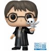 Funko POP! Harry Potter: Harry Potter with Hedwig Special Edition