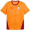 Puma Galatasaray Istanbul Training Jersey 949105-006