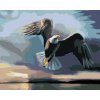 zuty Zuty - Maľovanie Podľa Čísel - Orol Nad Vodou, Tmavé Pozadie (D. Rusty Rust), 40X50 Cm, Plátno (8596530170167)