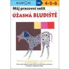 Můj pracovní sešit Úžasná bludiště - Toshihiki Karakido; Yoshiko Murakami; Masako Watanabe