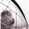 Pearl Jam: Vs. Vinyl Edition - Vinyl (LP)