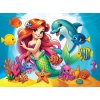 WOODEN CITY Drevené puzzle Morská víla a delfín 40 dielikov
