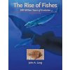 Rise of Fishes