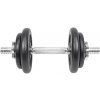 LIFEFIT DUMBEL SET STEEL nakládací činka 10 kg