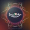Various - Eurovision Song Contest Turin 2022 / Vinyl / 4LP [4 LP]
