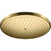 HansGrohe 26221990