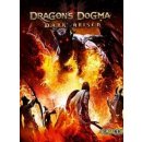 Hra na PS4 Dragons Dogma: Dark Arisen