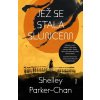 Jež se stala sluncem - Shelley Parker-Chan