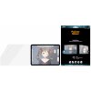 PanzerGlass GraphicPaper Case Friendly AB pre iPad Pro 11''/Air 10,9'', číra, číra 2734